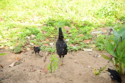 DSC_8122 (Large).JPG